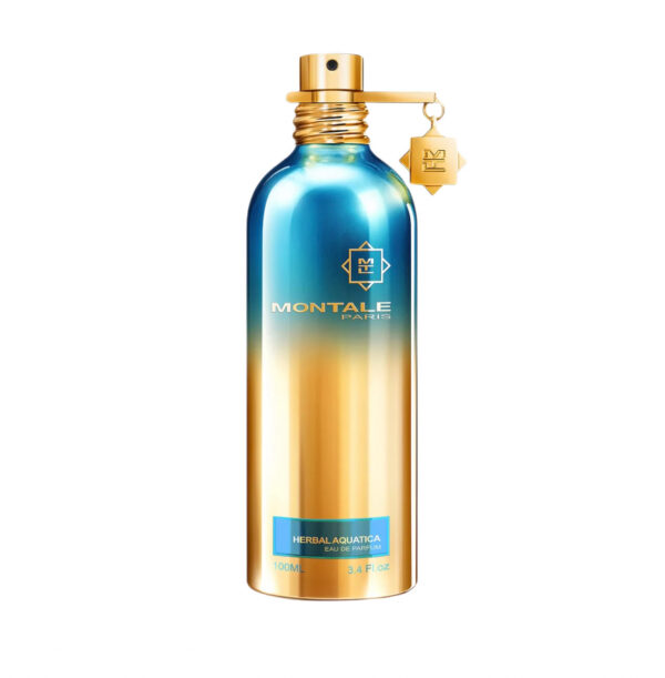 Day Dreams by Montale