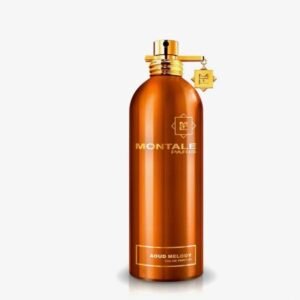 AOUD MELODY by MONTALE EDP 3.4 oz
